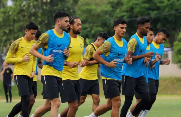 Harimau Malaya tidak diswastakan