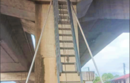 Bomba selamatkan kucing di Flyover Luyang