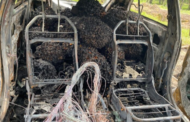 Kereta hangus terbakar ketika curi 30 tandan sawit