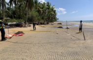 Kanak-kanak putus kepala disambar buaya semasa mandi pantai di LD