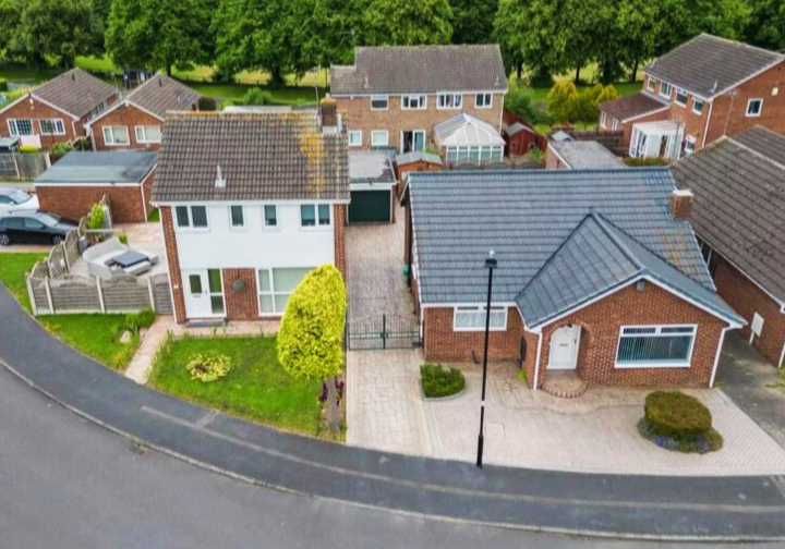 Ramai terpegun kisah ‘pokok separuh’ di Sheffield