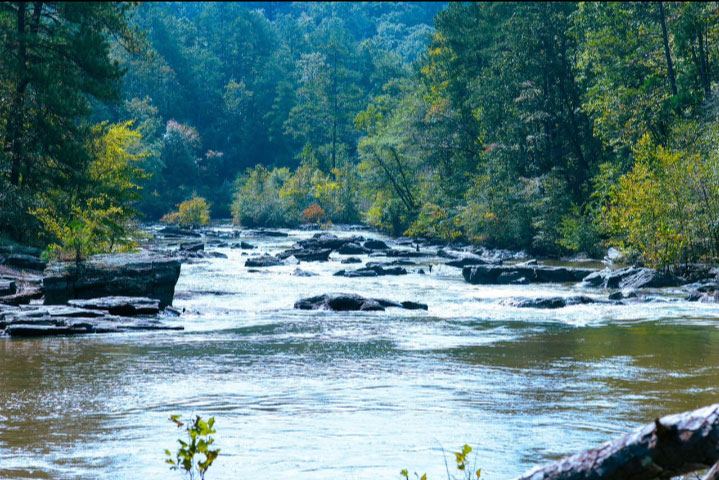 Do not overlook the water scarcity crisis