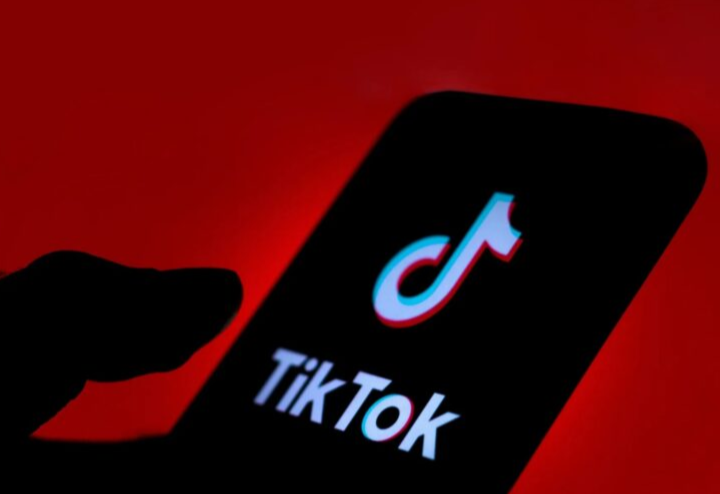 TikTok disaman tujuh keluarga di Perancis