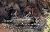 Polis siasat video dakwaan pelupusan bangkai anjing