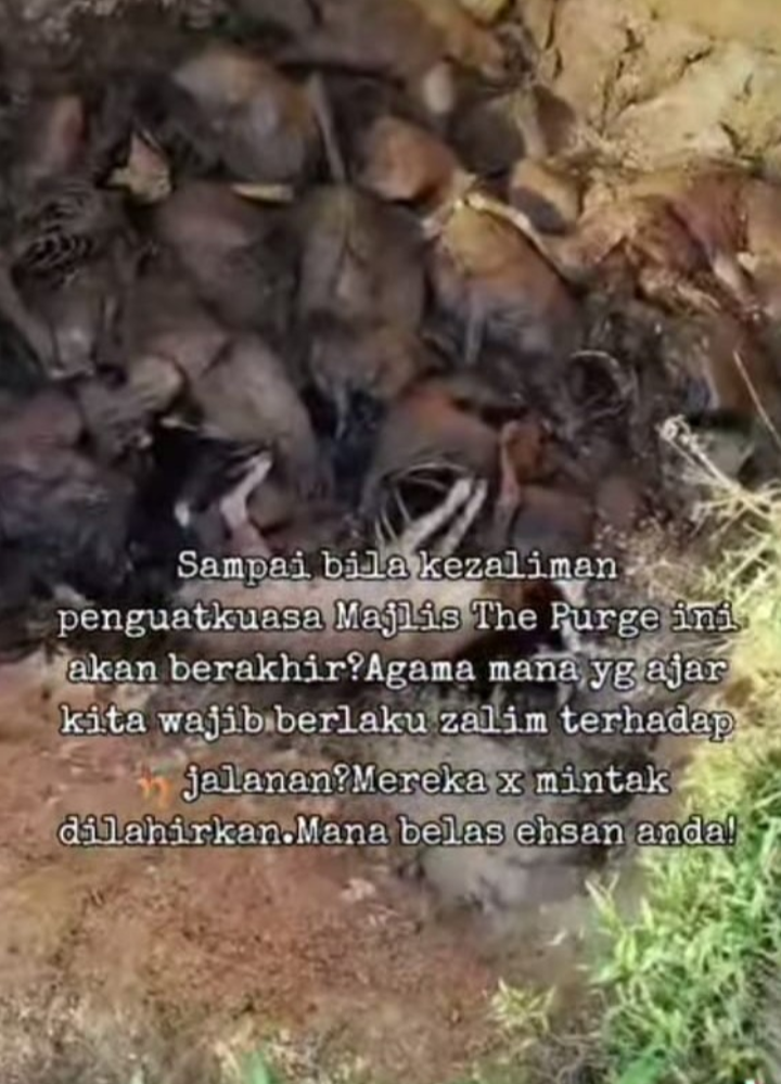 Polis siasat video dakwaan pelupusan bangkai anjing