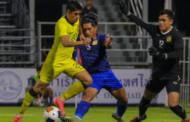 Penyudah Harimau Malaya tumpul