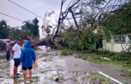 Pokok tumbang, bekalan elektrik terputus akibat taufan Man-yi