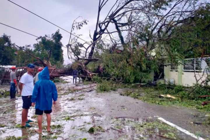Pokok tumbang, bekalan elektrik terputus akibat taufan Man-yi
