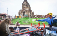 Tiada lagi geng ‘monyet samseng’ di pekan Lopburi
