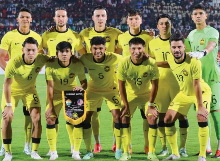 Harimau Malaya bakal ada CEO?