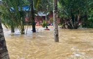 Jumlah mangsa banjir terus menurun