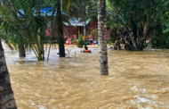 Banjir: Jumlah mangsa menurun kepada 65,991 orang, libatkan tujuh negeri