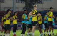 Harimau Malaya kena kacau