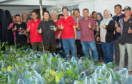 Petani Kadamaian diseru ceburi pertanian lada hitam