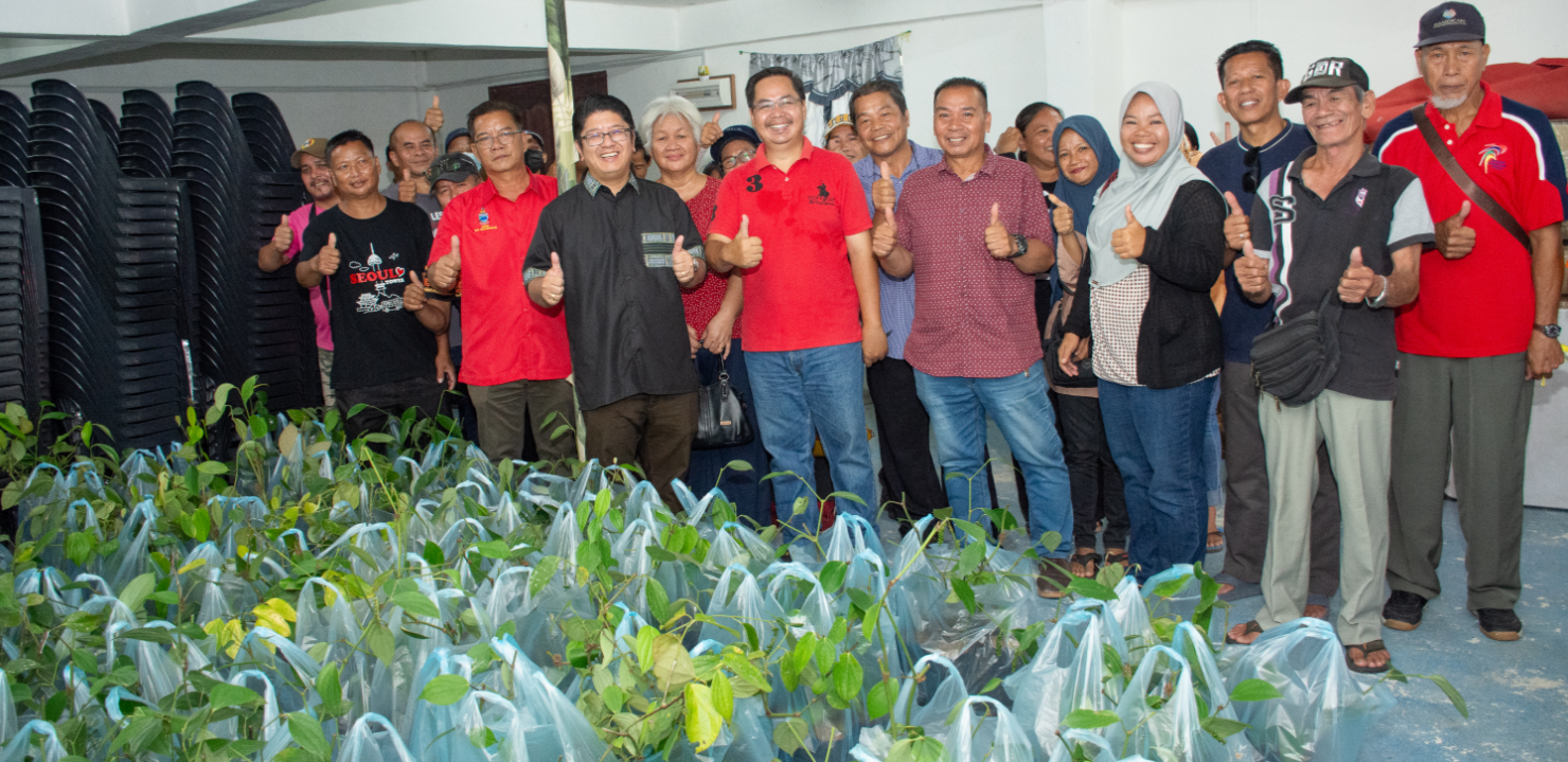 Petani Kadamaian diseru ceburi pertanian lada hitam