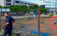 Mayat lelaki tanpa identiti ditemukan terapung di kolam terbiar