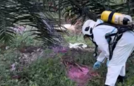9 pekerja ladang dikejarkan ke hospital kerana terhidu racun serangga