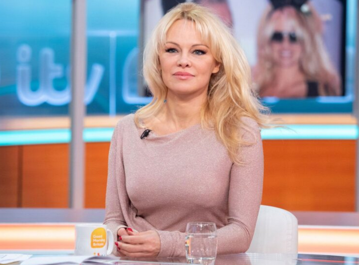 Disangka anggota kumpulan Dixie Chicks, Pamela Anderson nyaris dikasari lelaki tidak dikenali