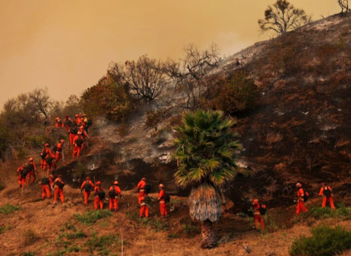 Ratusan banduan bantu padam kebakaran hutan di Los Angeles