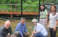 Saraya Corp. to fund Sabah's Lower K'batangan Elephant Food Corridor project