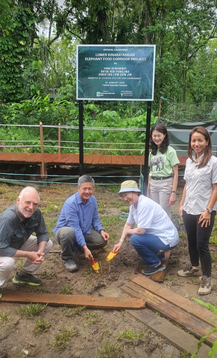 Saraya Corp. to fund Sabah's Lower K'batangan Elephant Food Corridor project