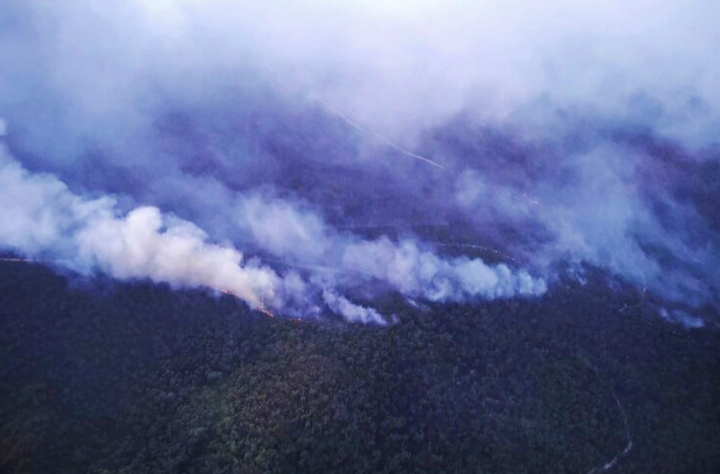 65,000 hektar hutan di Australia terbakar, sebesar saiz Singapura