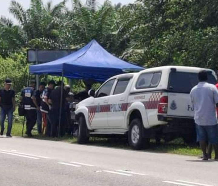 Rangka manusia ditemukan di ladang kelapa sawit