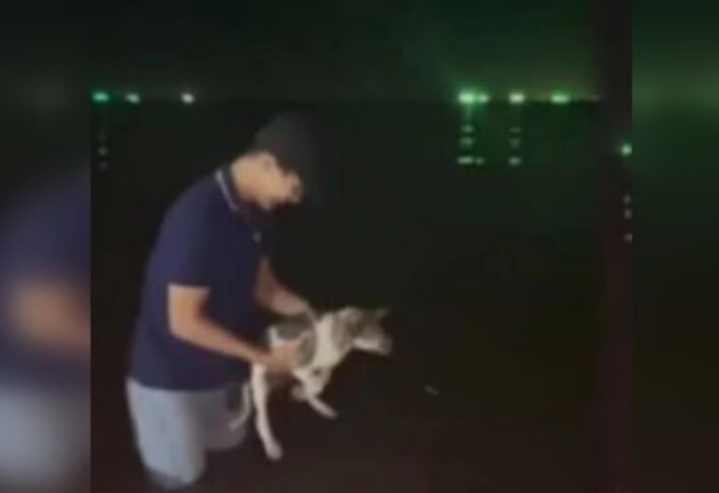 Lelaki Thailand campak anak anjing dalam laut disaman