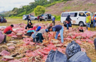 Lori telur terbalik, lebih 70,000 biji telur tercampak