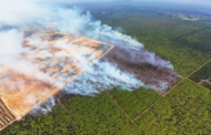 76 hektar ladang sawit terbakar