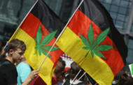 Jerman mungkin kaji semula atau haramkan kanabis