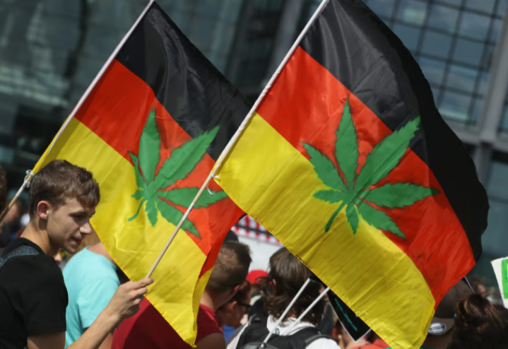 Jerman mungkin kaji semula atau haramkan kanabis