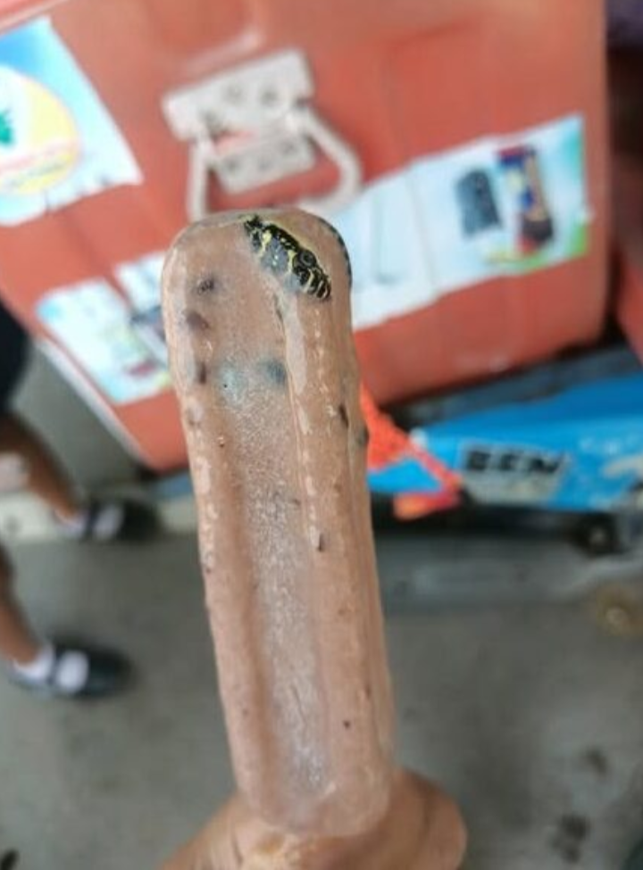 Lelaki jumpa ular dalam aiskrim kacang hitam