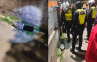Objek disangka mayat budak rupanya daun semambu