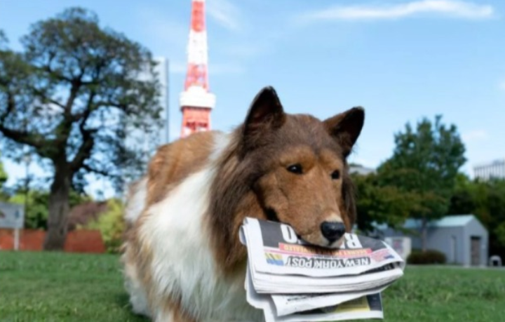 Lelaki Jepun buka zoo untuk manusia ‘teringin jadi anjing’