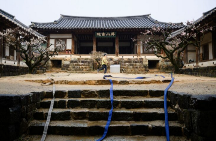 Kebakaran hutan Korea Selatan sudah seluas separuh New York