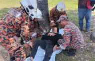 Empat cedera dalam tiga kemalangan berasingan di KK