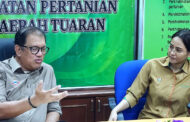 Joniston usaha perkasa pembangunan pertanian di Kiulu