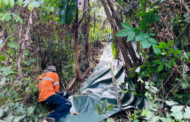 Akar pokok reput, hujan punca batu jatuh