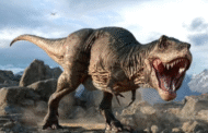 Saintis rancang hasilkan kulit T Rex