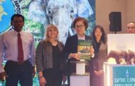 Suspects identified in Borneo Pygmy Elephant decapitation case