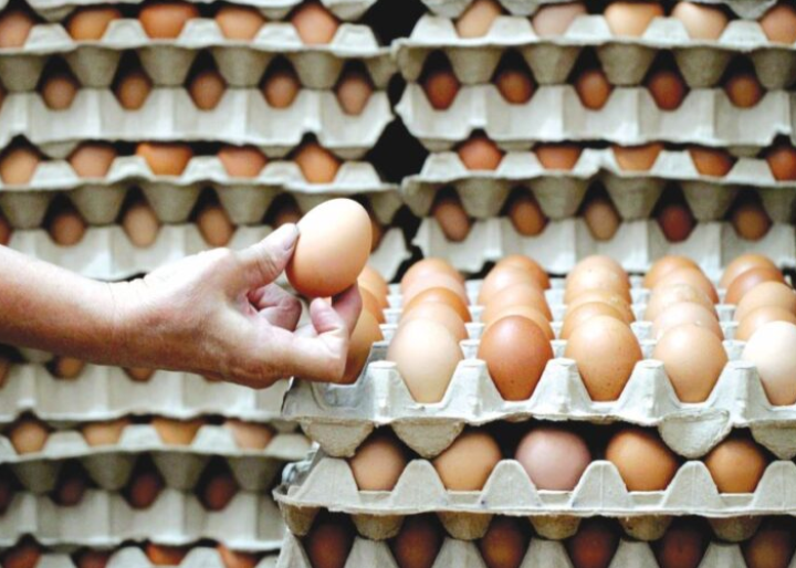KPKM, KPDN terus pantau harga, bekalan telur ayam