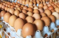Perubahan harga telur ayam akan berlaku selepas 1 Ogos