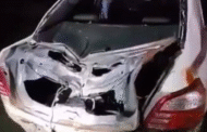 Toyota Vios remuk dipijak gajah, pemandu terselamat