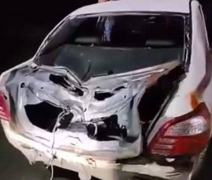 Toyota Vios remuk dipijak gajah, pemandu terselamat