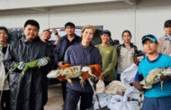 ‘Serangan’ iguana gusarkan petani di Thailand