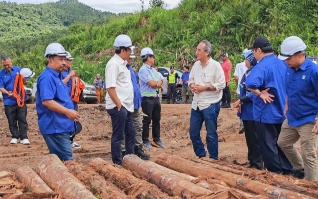 SSB nafi dakwaan negatif eksport kayu Eucalyptus, tegas patuh undang-undang