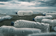 Bali larang pengeluaran air botol bawah satu liter mulai 2026