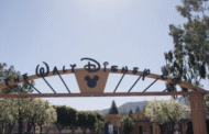 Disney buang pekerja besar-besaran