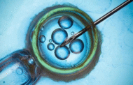 Monash IVF mohon maaf silap pindah embrio 